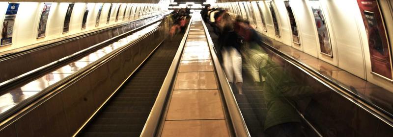 International Master